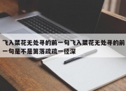 飞入菜花无处寻的前一句飞入菜花无处寻的前一句是不是篱落疏疏一径深