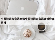 中国诗词大会武亦姝中国诗词大会武亦姝作文素材