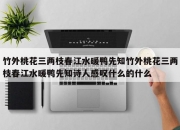 竹外桃花三两枝春江水暖鸭先知竹外桃花三两枝春江水暖鸭先知诗人感叹什么的什么