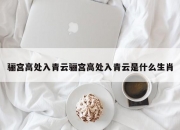 骊宫高处入青云骊宫高处入青云是什么生肖
