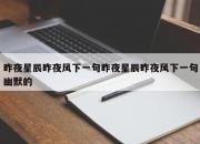 昨夜星辰昨夜风下一句昨夜星辰昨夜风下一句幽默的
