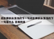 疏影横斜水清浅的下一句疏影横斜水清浅的下一句是什么 百度网盘