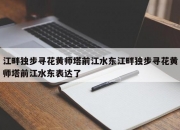 江畔独步寻花黄师塔前江水东江畔独步寻花黄师塔前江水东表达了