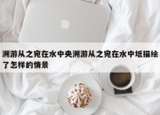 溯游从之宛在水中央溯游从之宛在水中坻描绘了怎样的情景