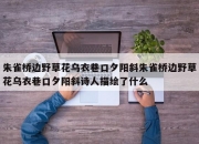 朱雀桥边野草花乌衣巷口夕阳斜朱雀桥边野草花乌衣巷口夕阳斜诗人描绘了什么