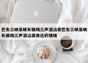巴东三峡巫峡长猿鸣三声泪沾裳巴东三峡巫峡长猿鸣三声泪沾裳表达的情绪