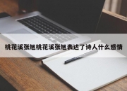 桃花溪张旭桃花溪张旭表达了诗人什么感情