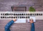 今又重阳岁岁重阳战地黄花分外香今又重阳战地黄花分外香描写了怎样的景色