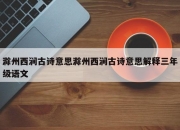 滁州西涧古诗意思滁州西涧古诗意思解释三年级语文