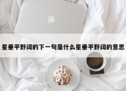 星垂平野阔的下一句是什么星垂平野阔的意思