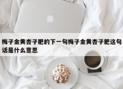 梅子金黄杏子肥的下一句梅子金黄杏子肥这句话是什么意思