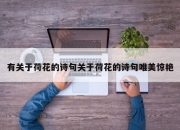 有关于荷花的诗句关于荷花的诗句唯美惊艳