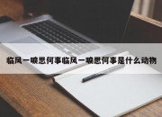 临风一唳思何事临风一唳思何事是什么动物