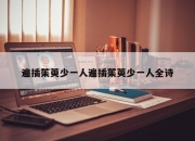 遍插茱萸少一人遍插茱萸少一人全诗