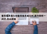 春天有月来几时春天有月来几时,我今停杯一问之,怎么回复
