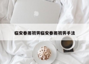 临安春雨初霁临安春雨初霁手法