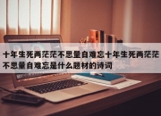 十年生死两茫茫不思量自难忘十年生死两茫茫不思量自难忘是什么题材的诗词