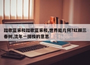 踏歌蓝采和踏歌蓝采和,世界能几何?红颜三春树,流年一掷梭的意思