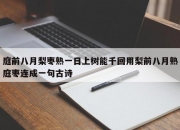 庭前八月梨枣熟一日上树能千回用梨前八月熟庭枣连成一句古诗