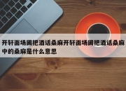 开轩面场圃把酒话桑麻开轩面场圃把酒话桑麻中的桑麻是什么意思
